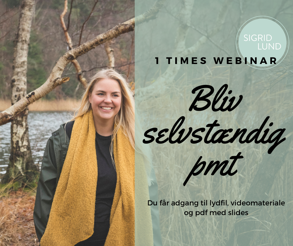 Få inspiration til at blive selvstændig psykomotorisk terapeut 